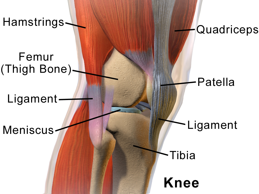 Knee Pain